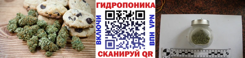 Canna-Cookies конопля  ссылка на мегу ССЫЛКА  Дальнегорск  дарнет шоп 