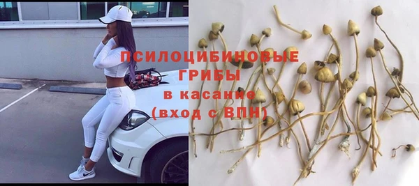 метадон Богородицк