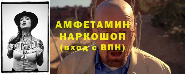 гашик Богданович