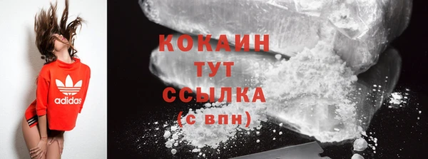 гашик Богданович