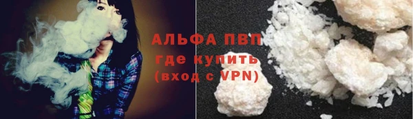 гашик Богданович