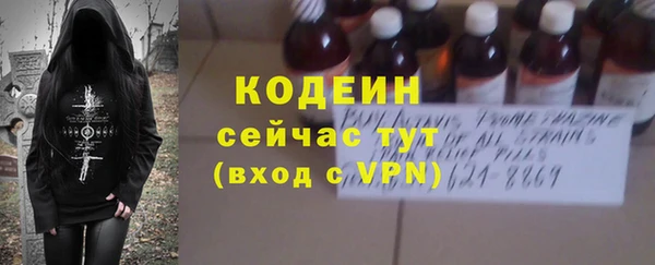 гашик Богданович