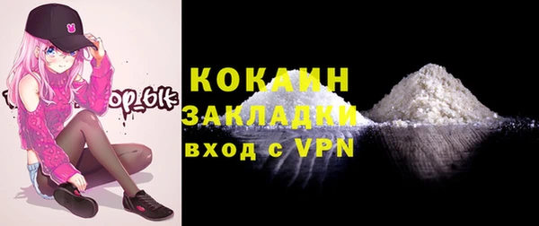 мдпв Пестово