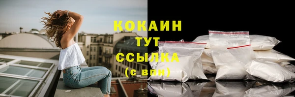 гашик Богданович