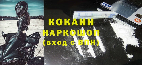 гашик Богданович