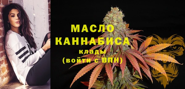 гашик Богданович